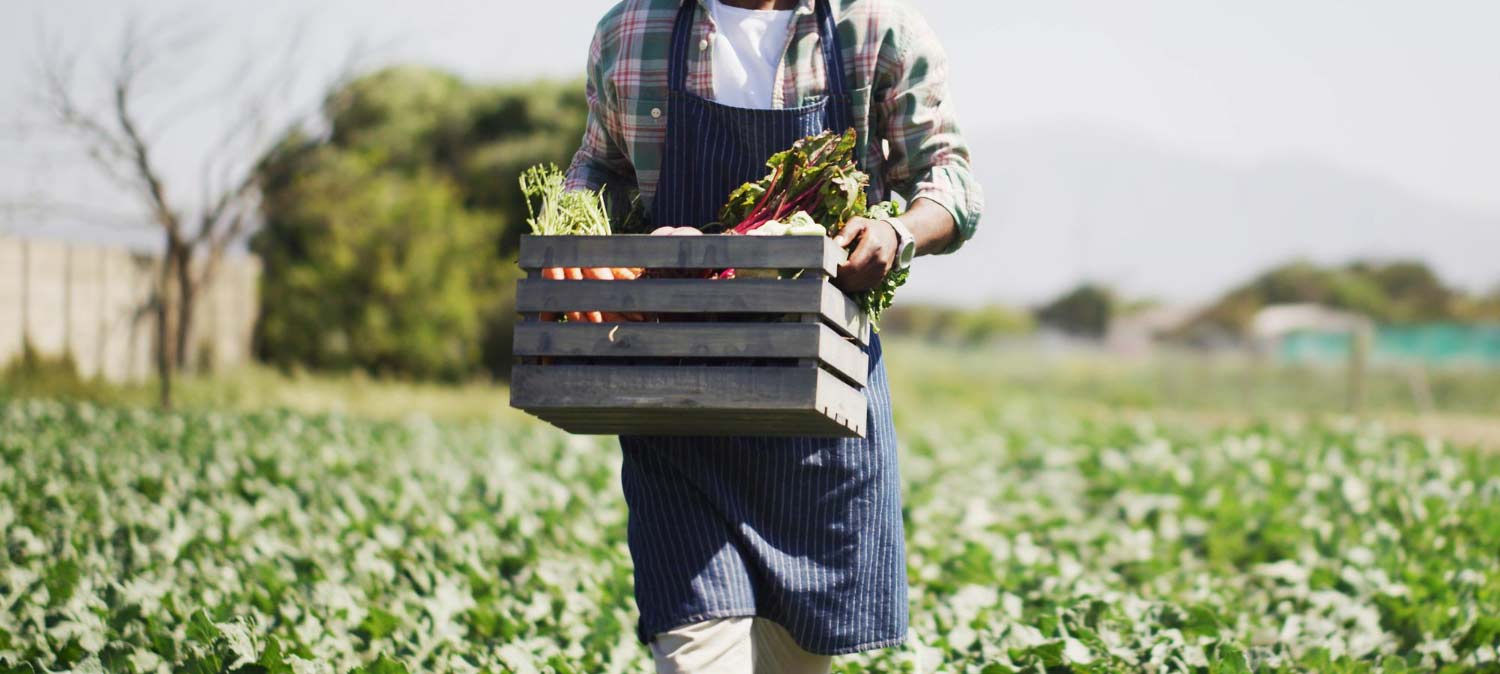 Regional Sponsored Migration Scheme 187 Visa